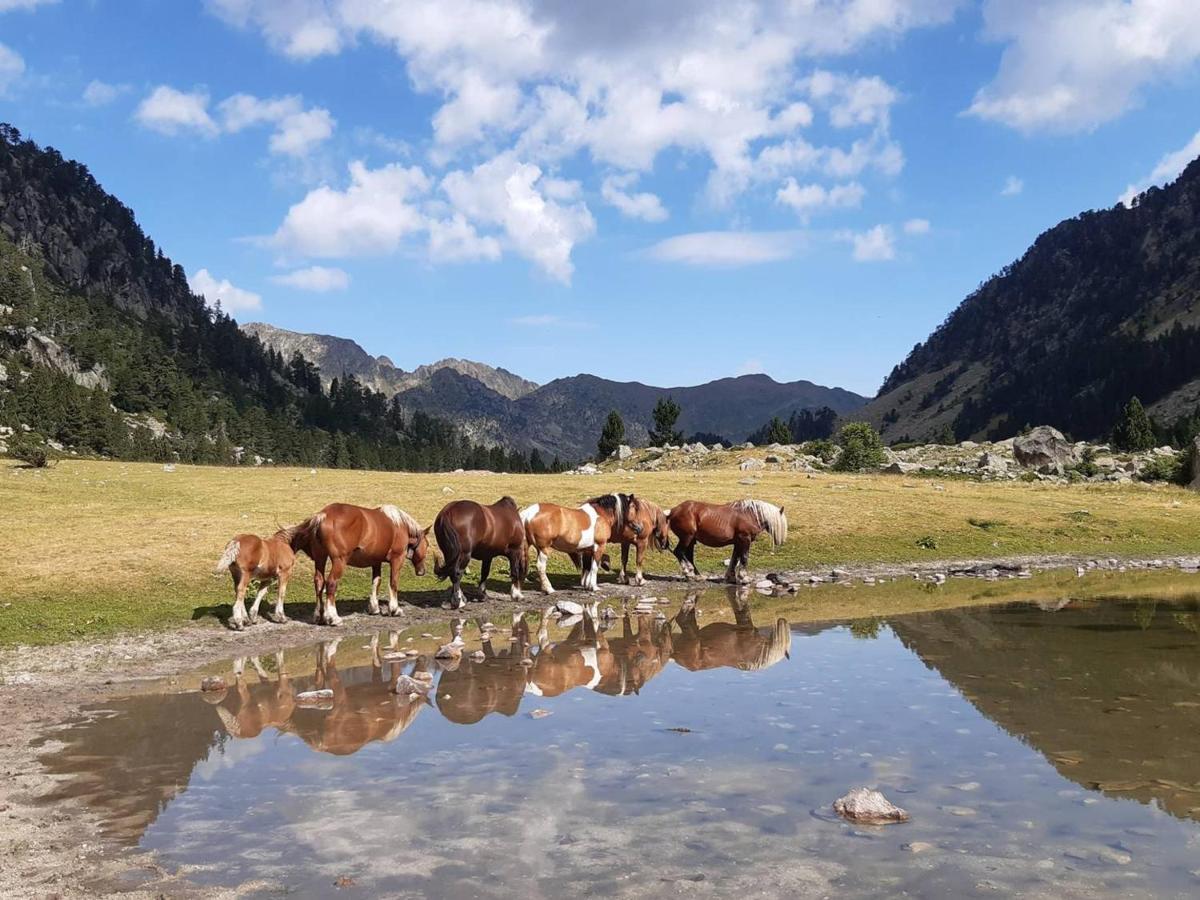 Studio Proche Centre Pour 2/4 Personnes, Cuisine Equipee, Pres Thermes Et Telecabines - Fr-1-234-281 Cauterets Buitenkant foto